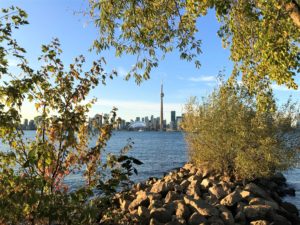 Toronto as seen from Toronto Main Island