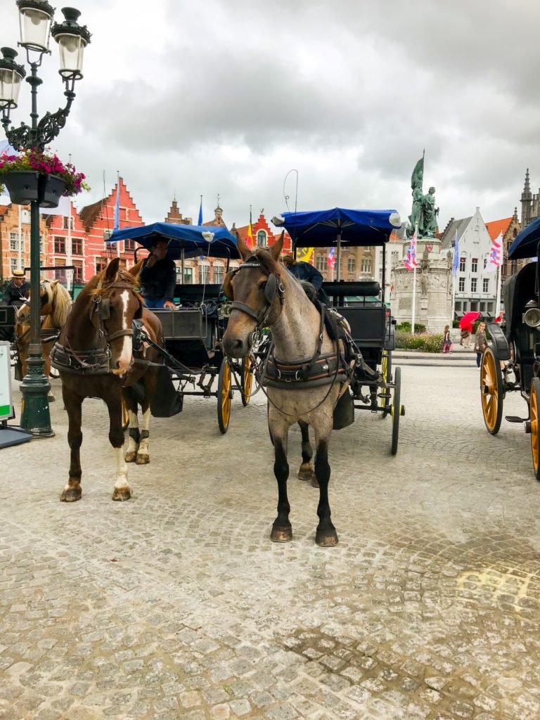 Horse and carriage ride in Bruges