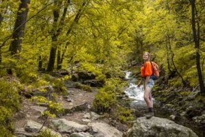 Promenade de la Hoëgne: A beautiful walk in the Hoëgne valley