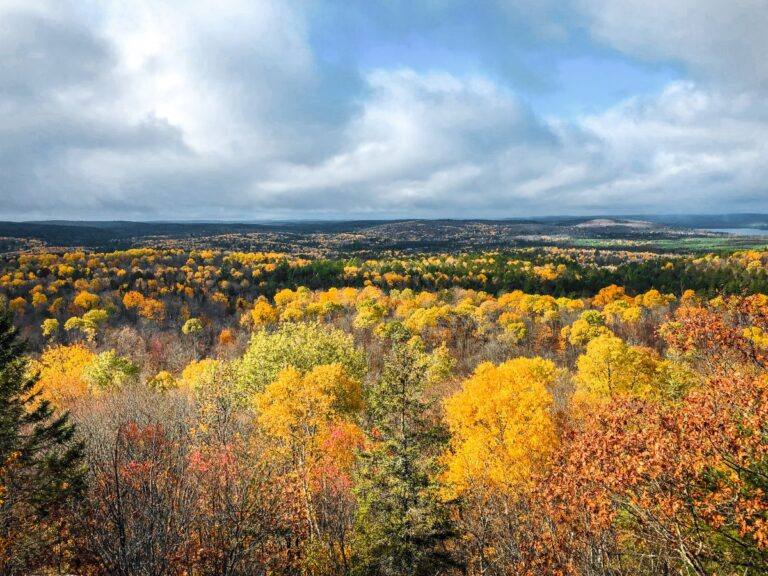 Ontario In Fall: Top Fall Activities And Change Of Colours - Emma's Roadmap