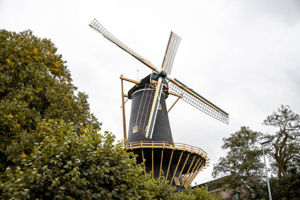 windmill De Windhond in Woerden, Cheese Valley