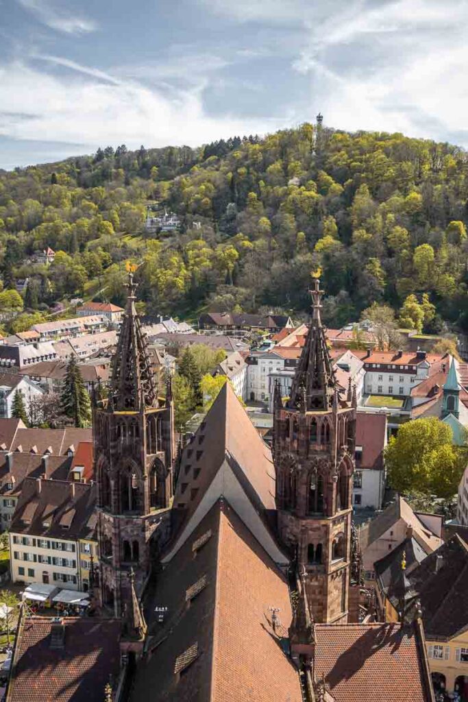 Münster Freiburg