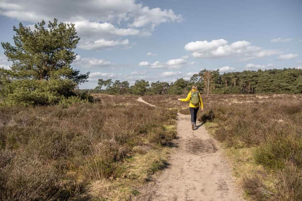 Lommel Sahara hiking