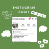 Instagram audit