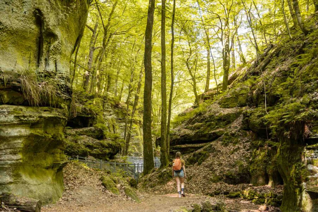 B2 hike Berdorf Luxembourg