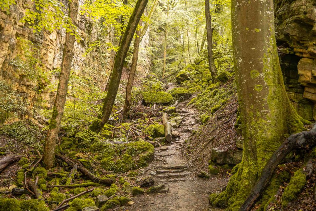 E1 hiking trail Echternach Mullerthal Luxembourg