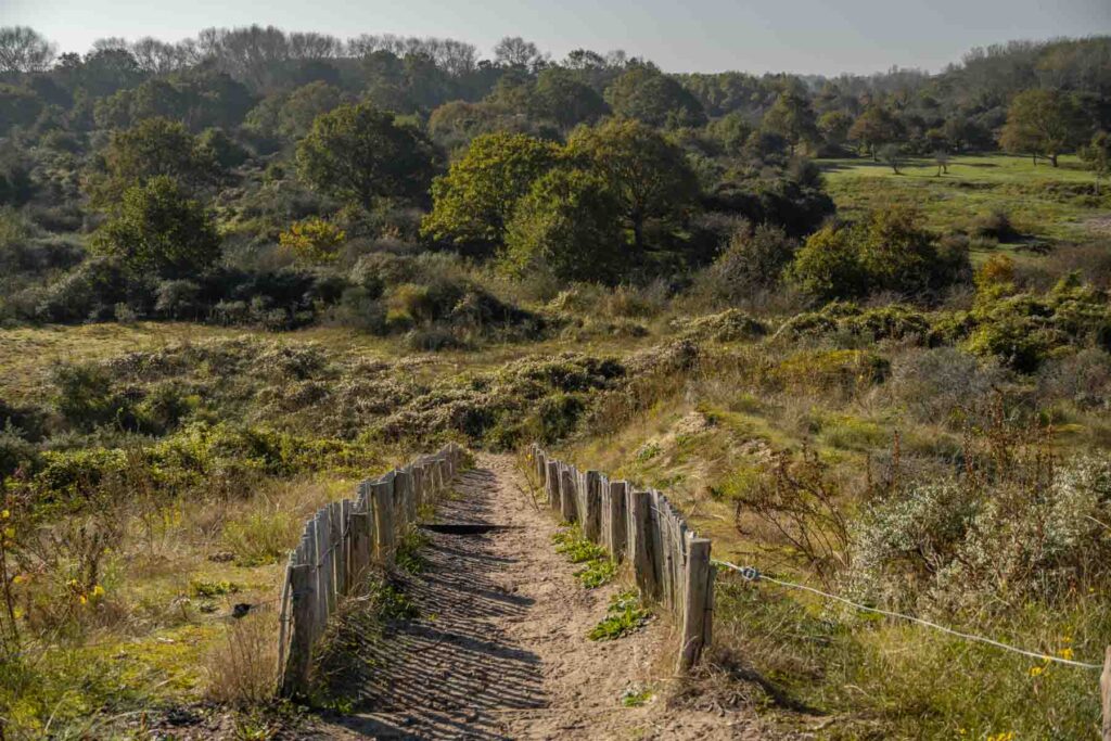 things to do in De Panne - Westhoek hiking route