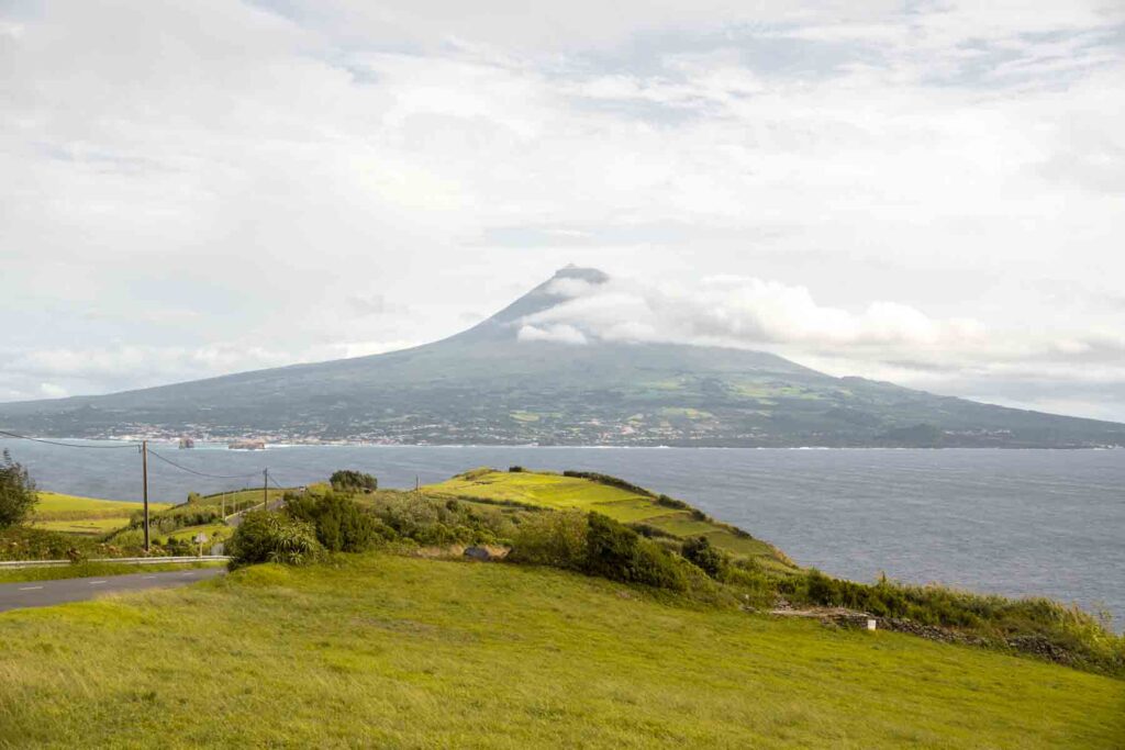 View of Mount Pico