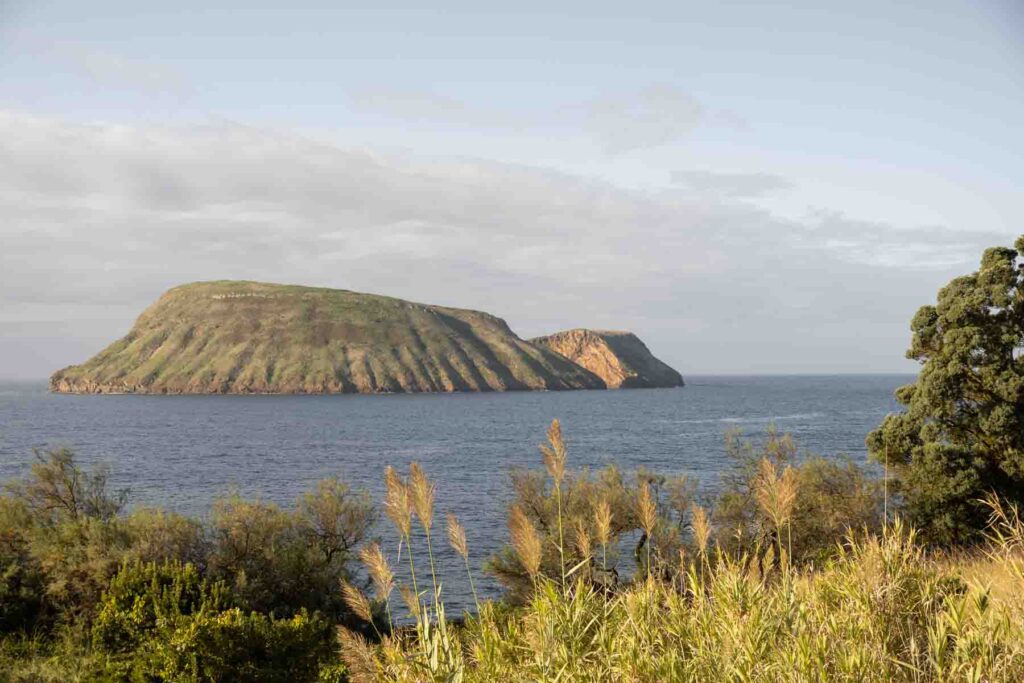 Coast of Terceira