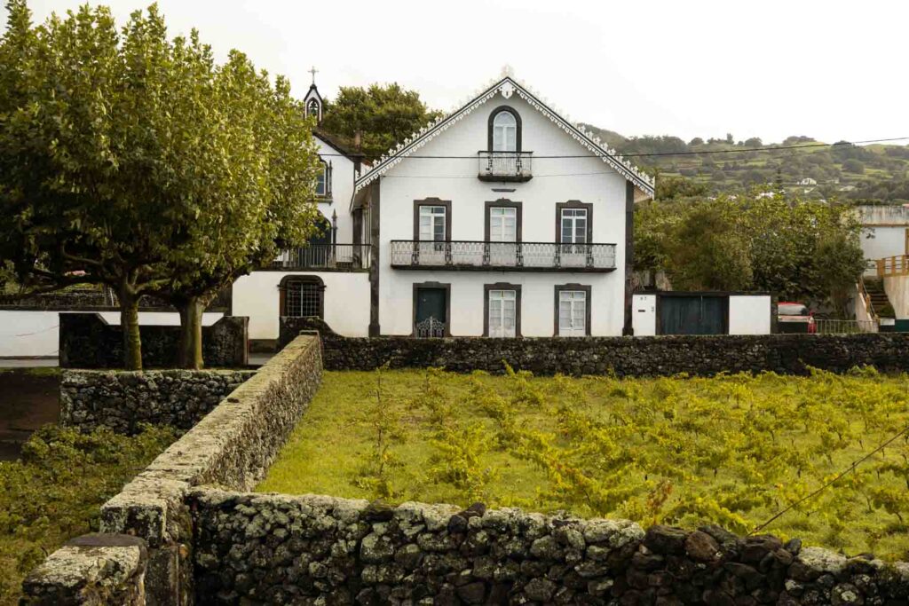 Wine tasting at Terceira