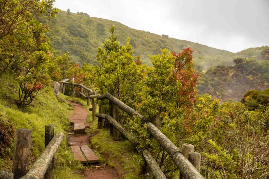 hiking trail